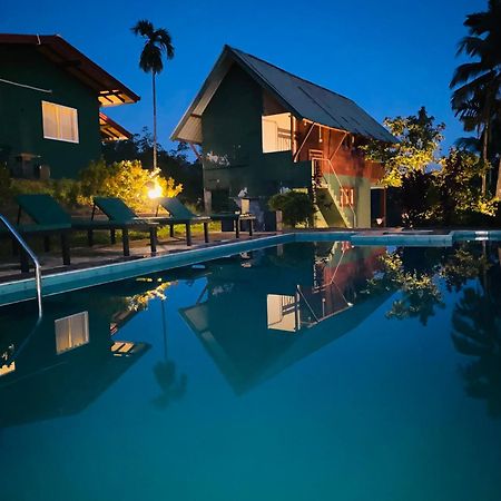 Rainforest Mount Lodge Deniyaya Dış mekan fotoğraf