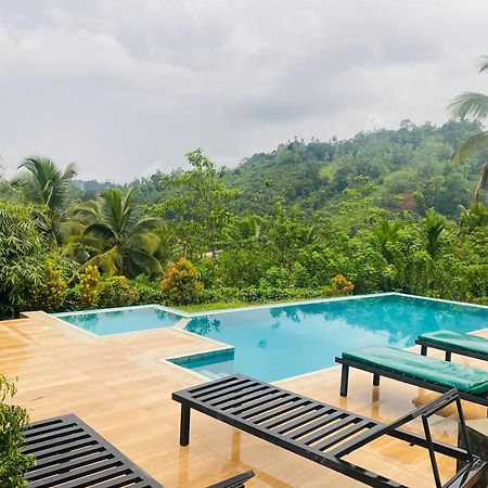 Rainforest Mount Lodge Deniyaya Dış mekan fotoğraf
