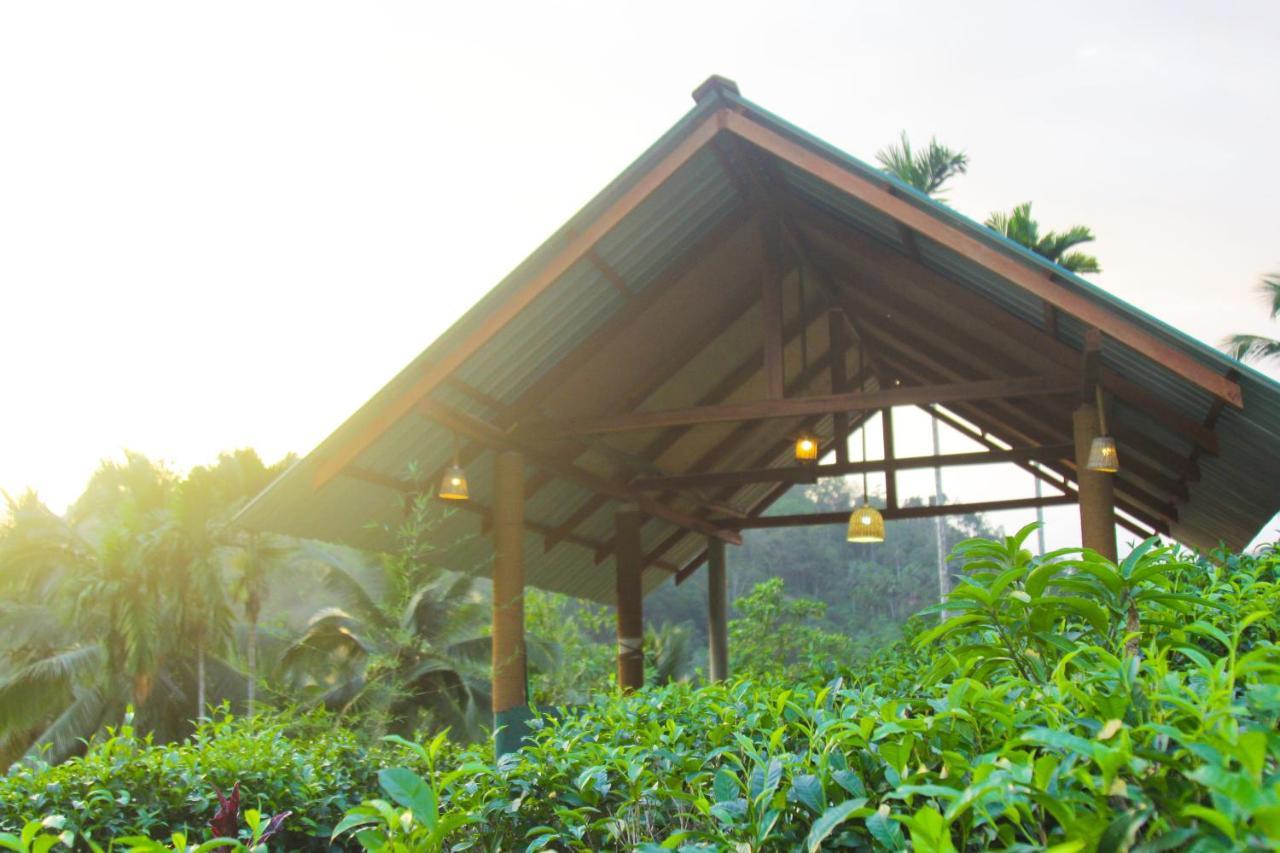 Rainforest Mount Lodge Deniyaya Dış mekan fotoğraf