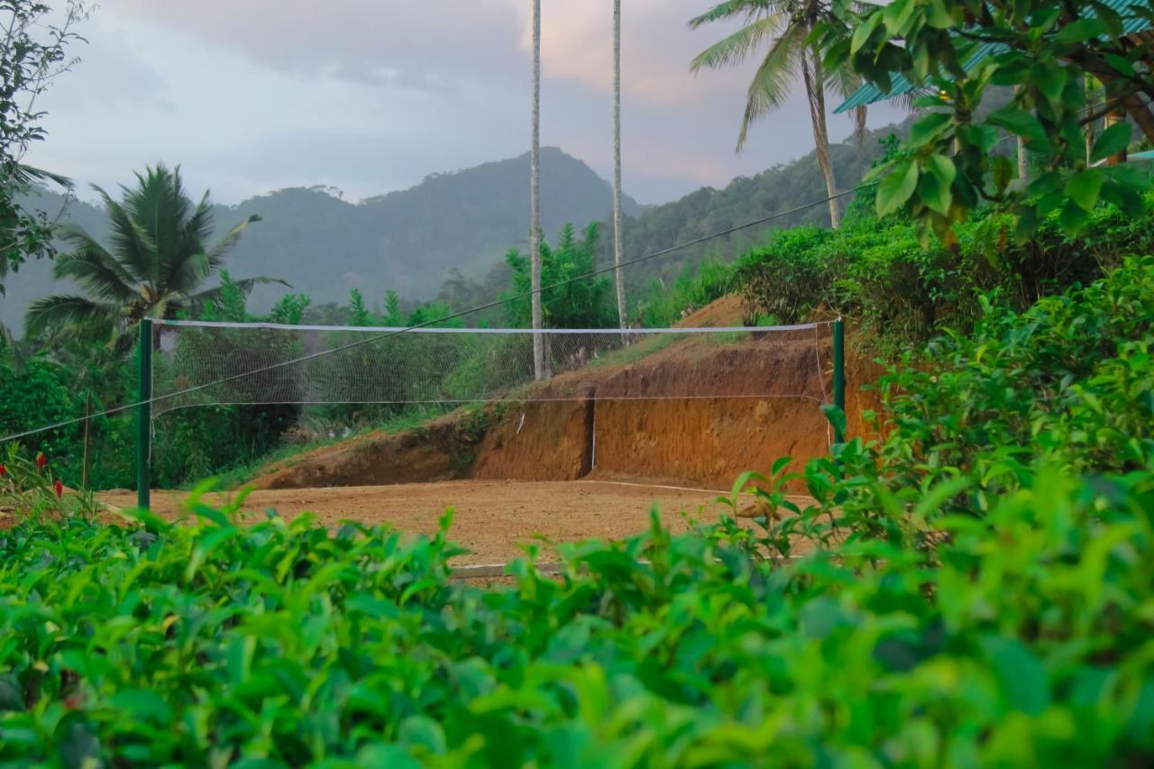 Rainforest Mount Lodge Deniyaya Dış mekan fotoğraf