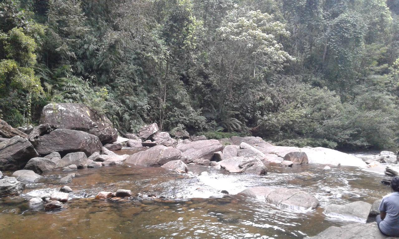 Rainforest Mount Lodge Deniyaya Dış mekan fotoğraf