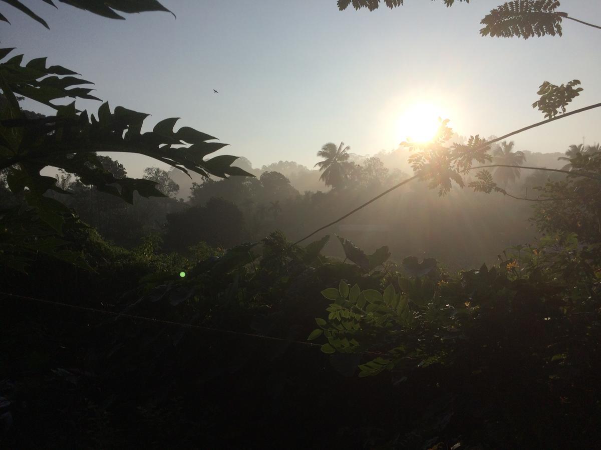 Rainforest Mount Lodge Deniyaya Dış mekan fotoğraf