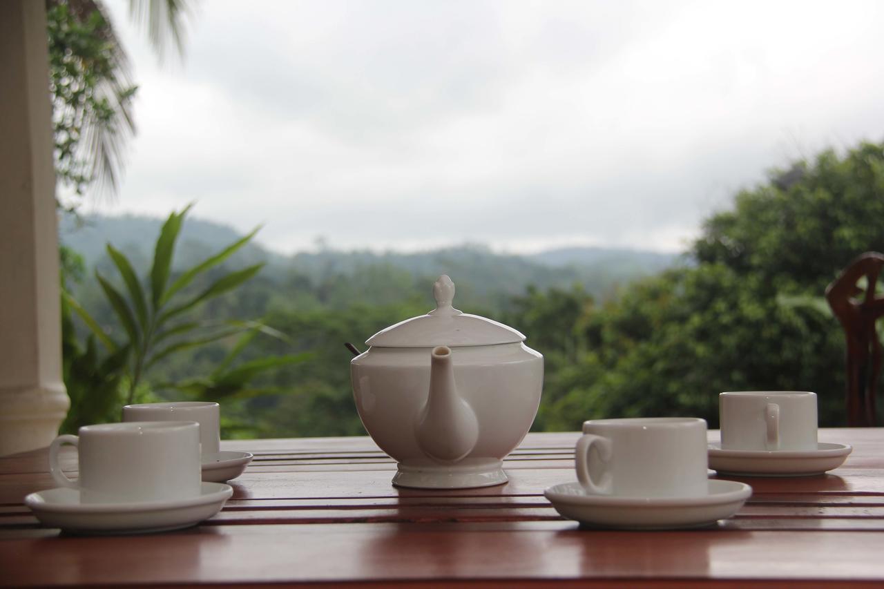 Rainforest Mount Lodge Deniyaya Dış mekan fotoğraf