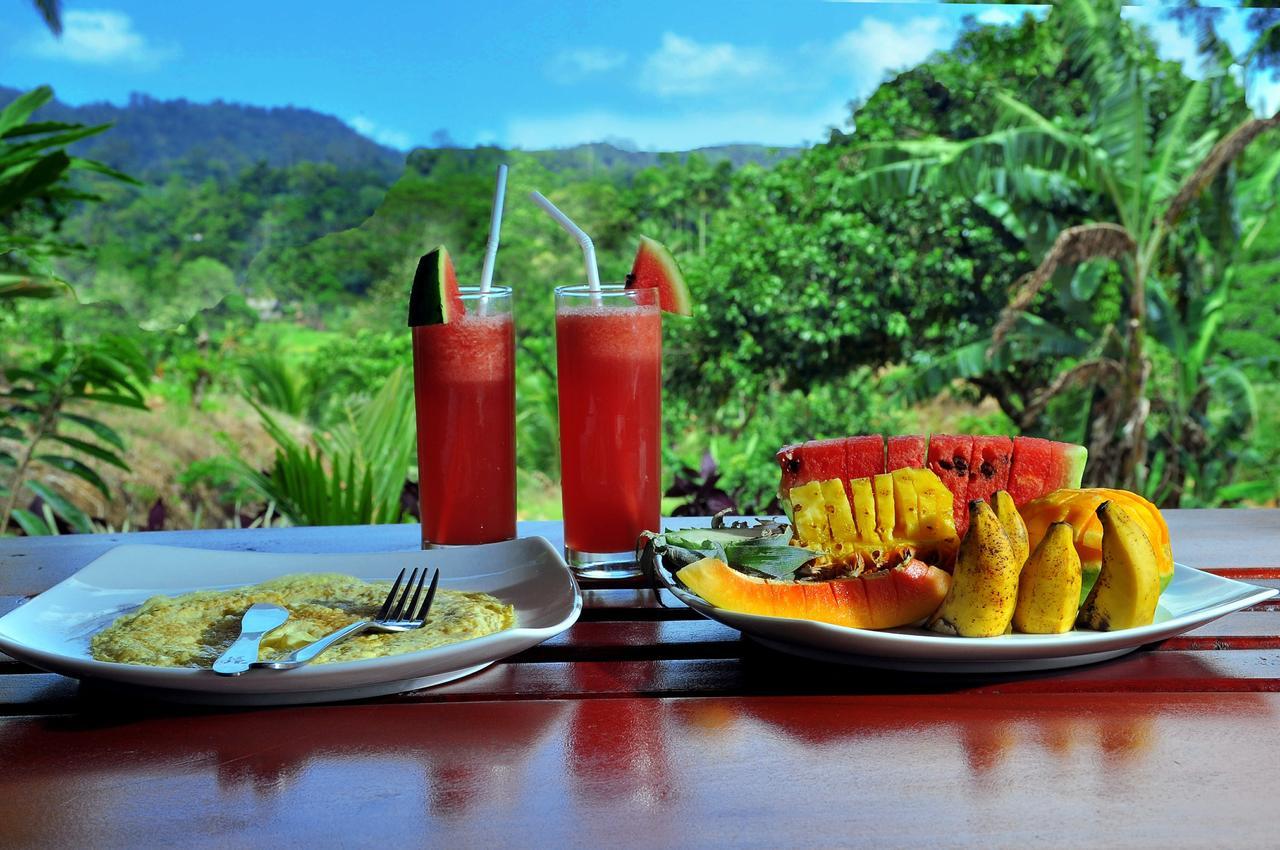 Rainforest Mount Lodge Deniyaya Dış mekan fotoğraf