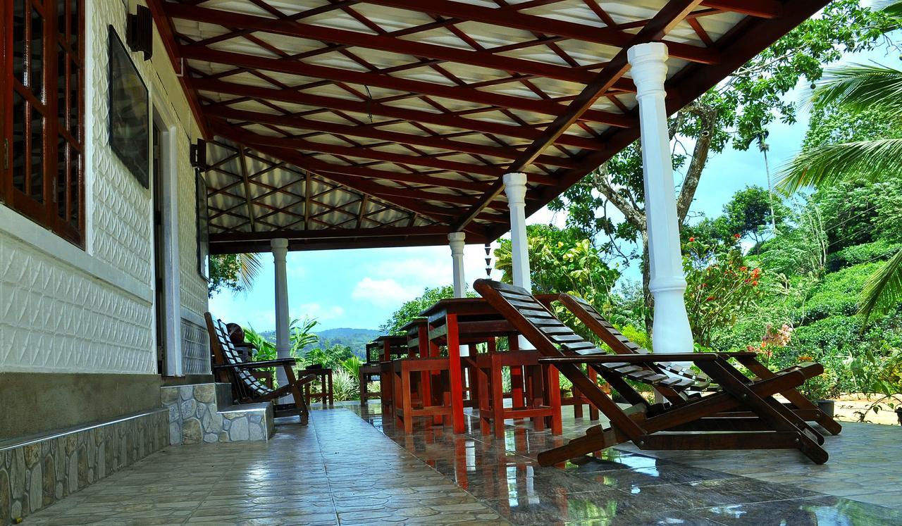 Rainforest Mount Lodge Deniyaya Dış mekan fotoğraf