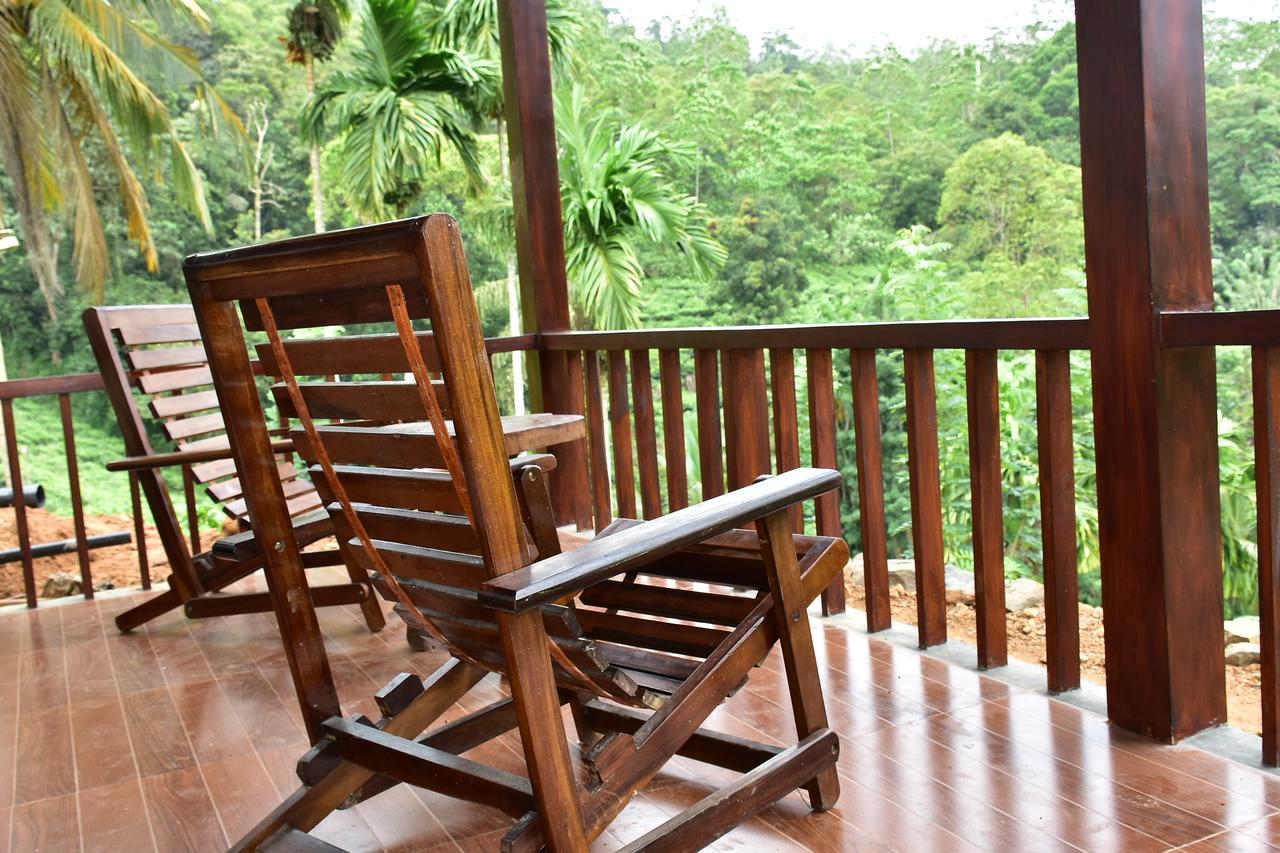 Rainforest Mount Lodge Deniyaya Dış mekan fotoğraf