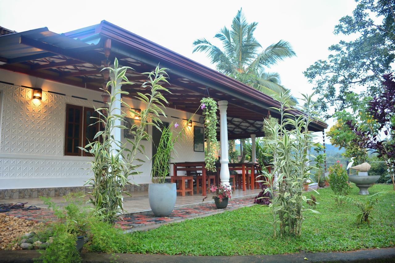 Rainforest Mount Lodge Deniyaya Dış mekan fotoğraf