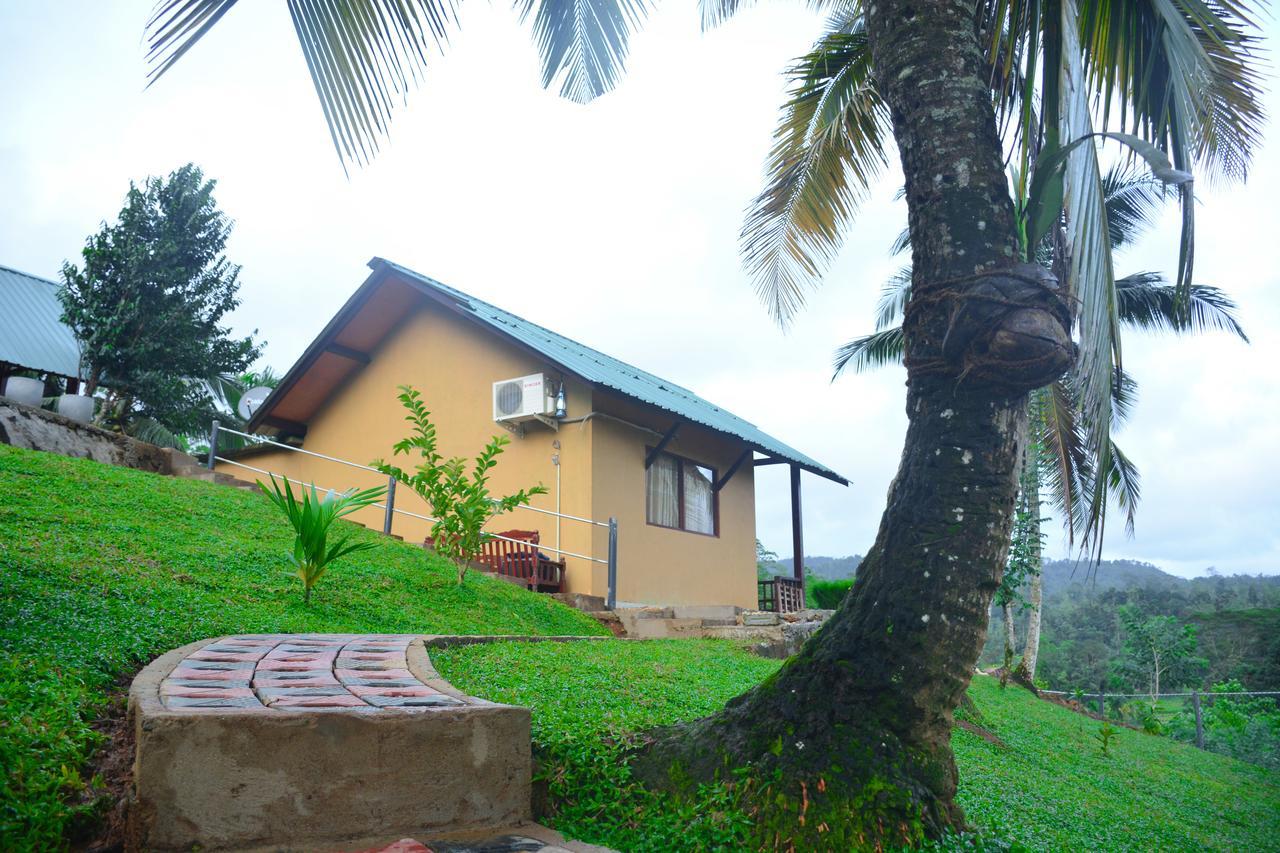 Rainforest Mount Lodge Deniyaya Dış mekan fotoğraf