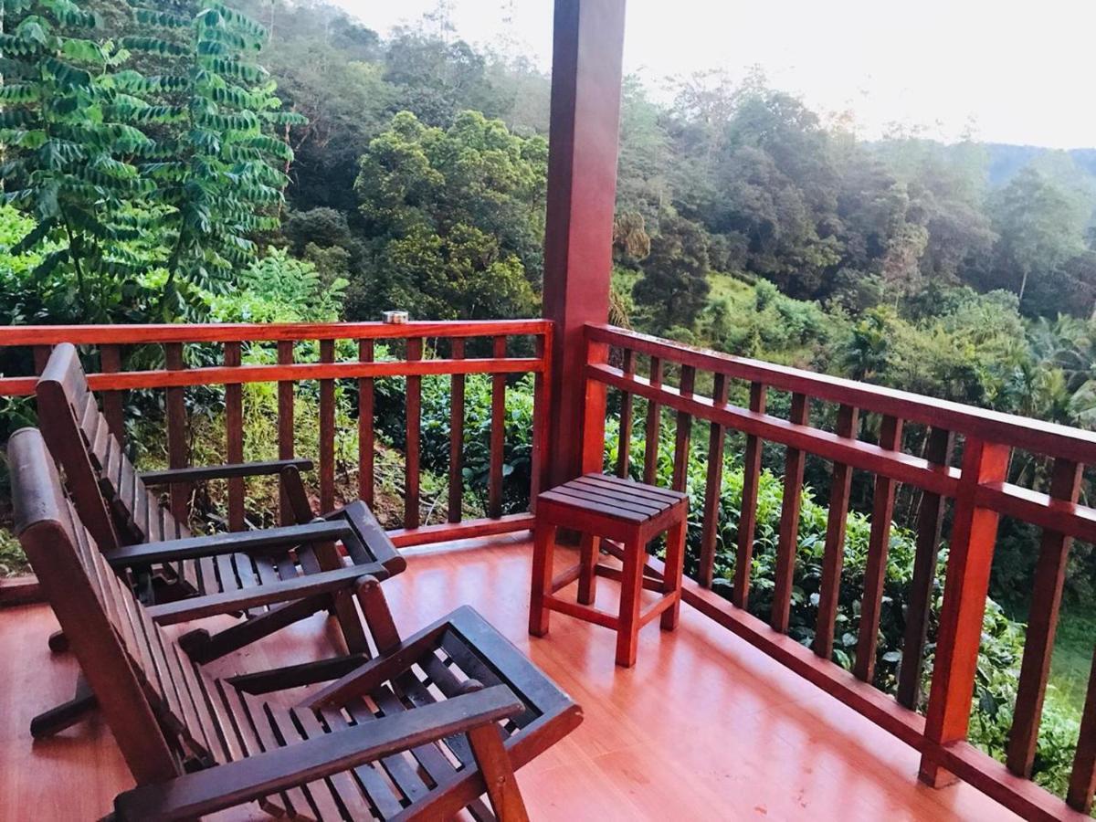 Rainforest Mount Lodge Deniyaya Dış mekan fotoğraf