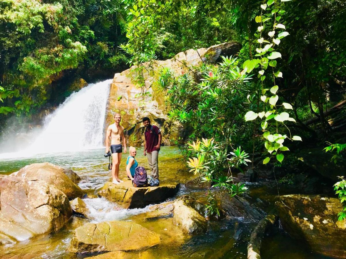 Rainforest Mount Lodge Deniyaya Dış mekan fotoğraf