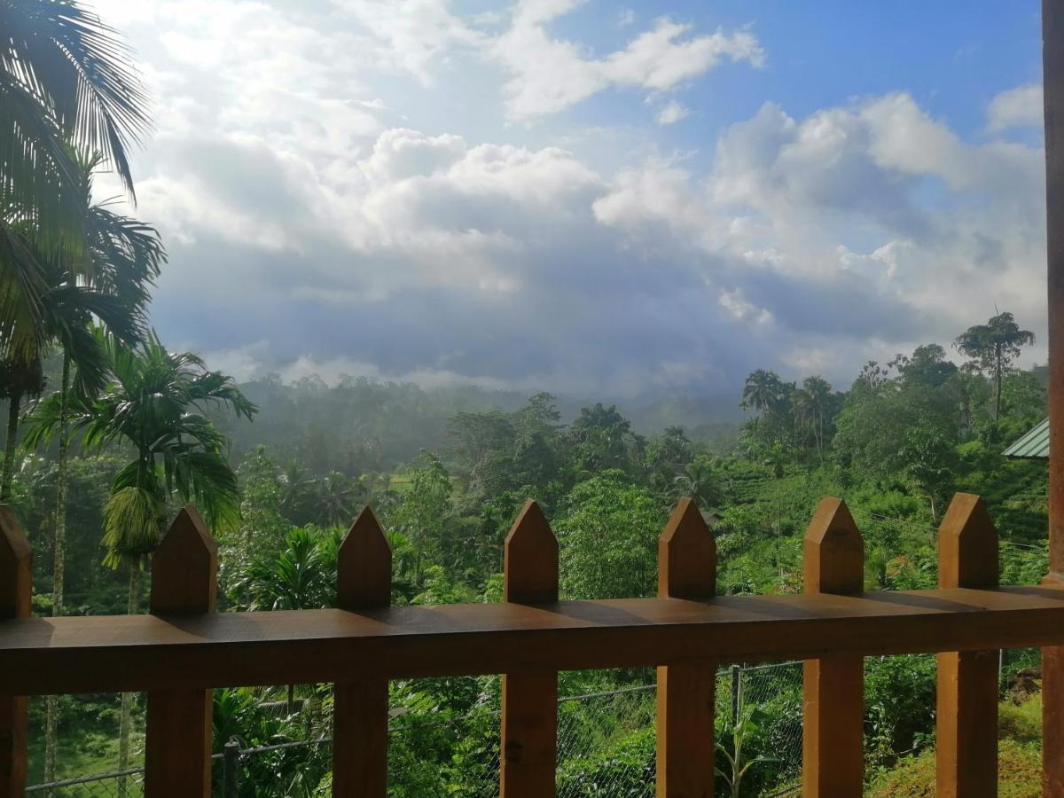 Rainforest Mount Lodge Deniyaya Dış mekan fotoğraf